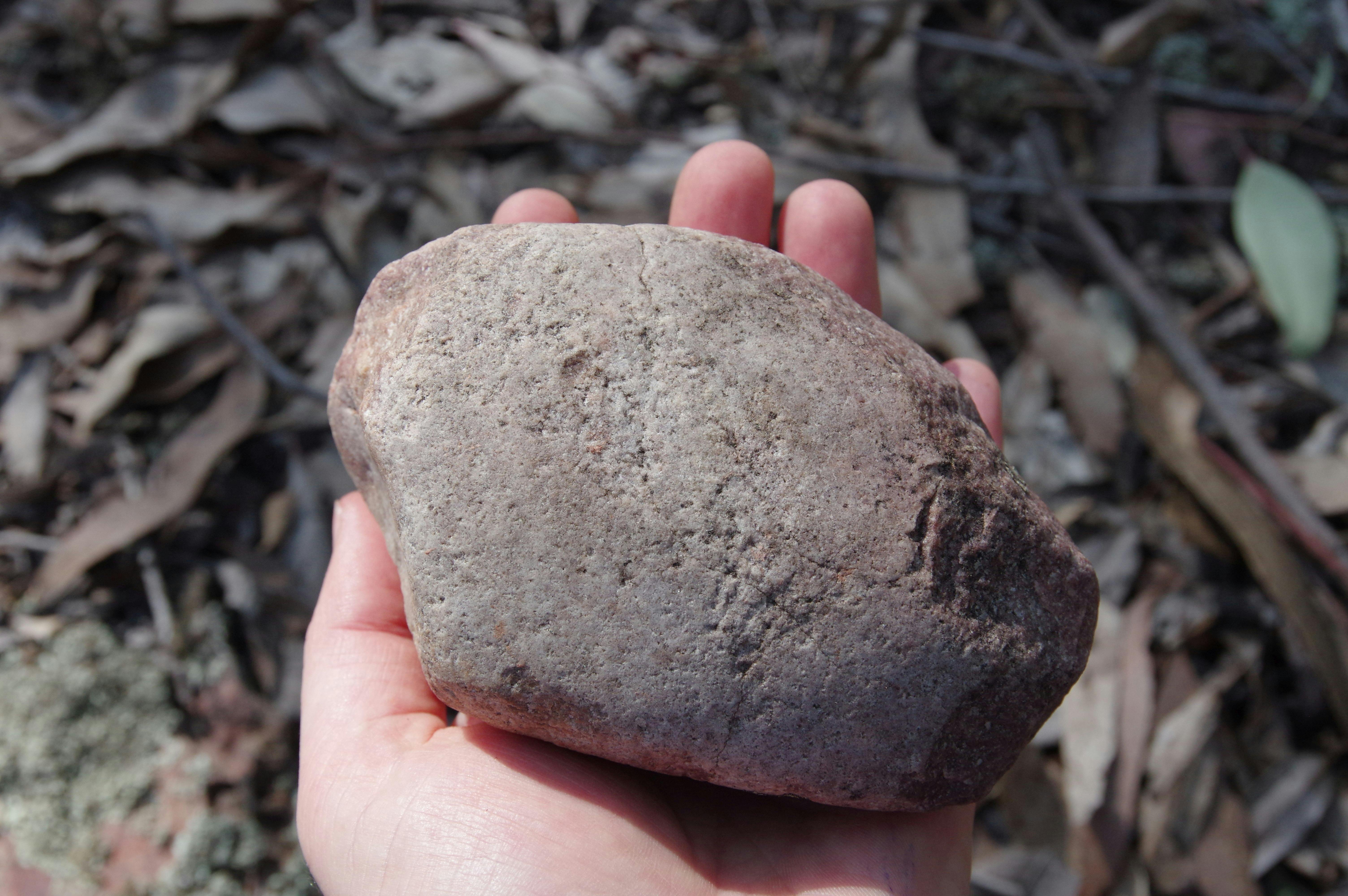 person holding a reddy white-coloured, round shaped rock with putting and scars