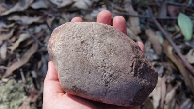 person holding a reddy white-coloured, round shaped rock with putting and scars