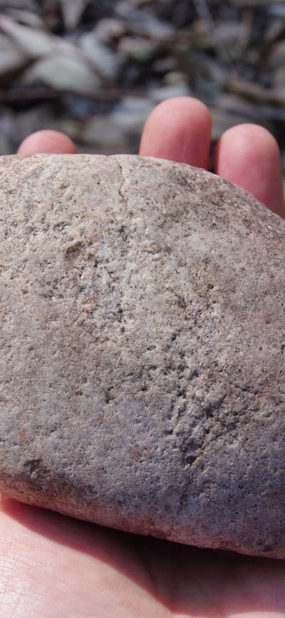 person holding a reddy white-coloured, round shaped rock with putting and scars