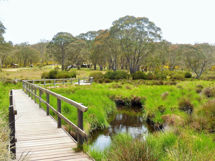 Camping at Polblue in Barrington Tops National Park