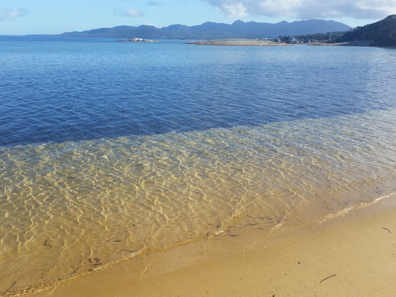 Yellow Beach Camping Ground