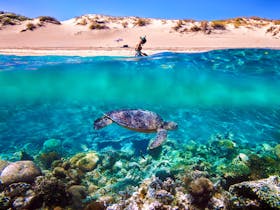 Ningaloo Reef