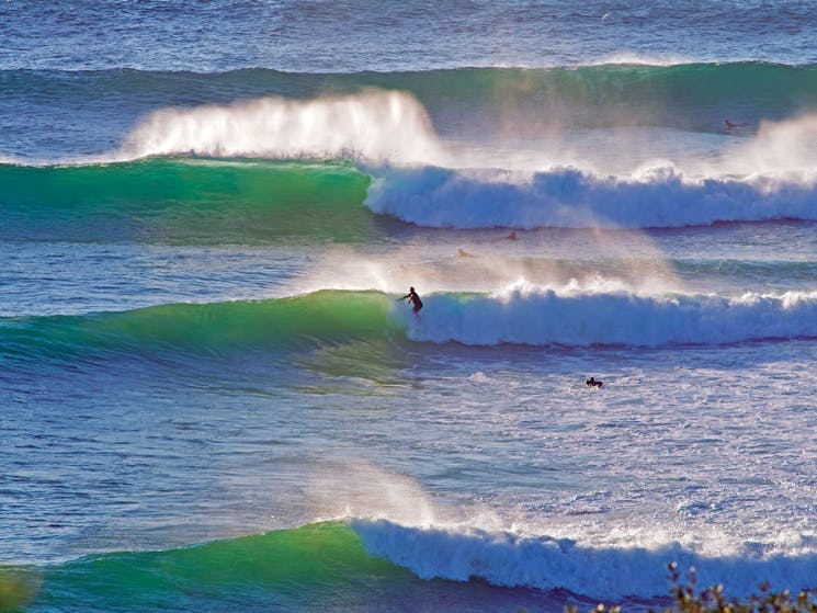 Surf Angourie