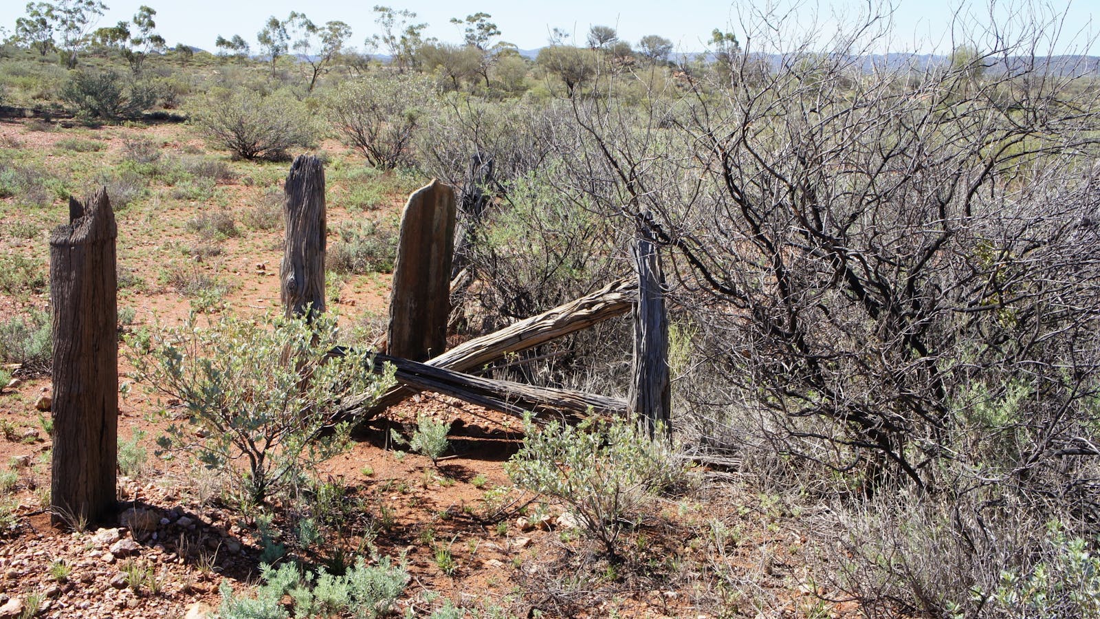 Winnecke Goldfield Cemetery