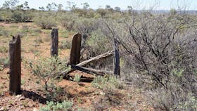 Winnecke Goldfield Cemetery