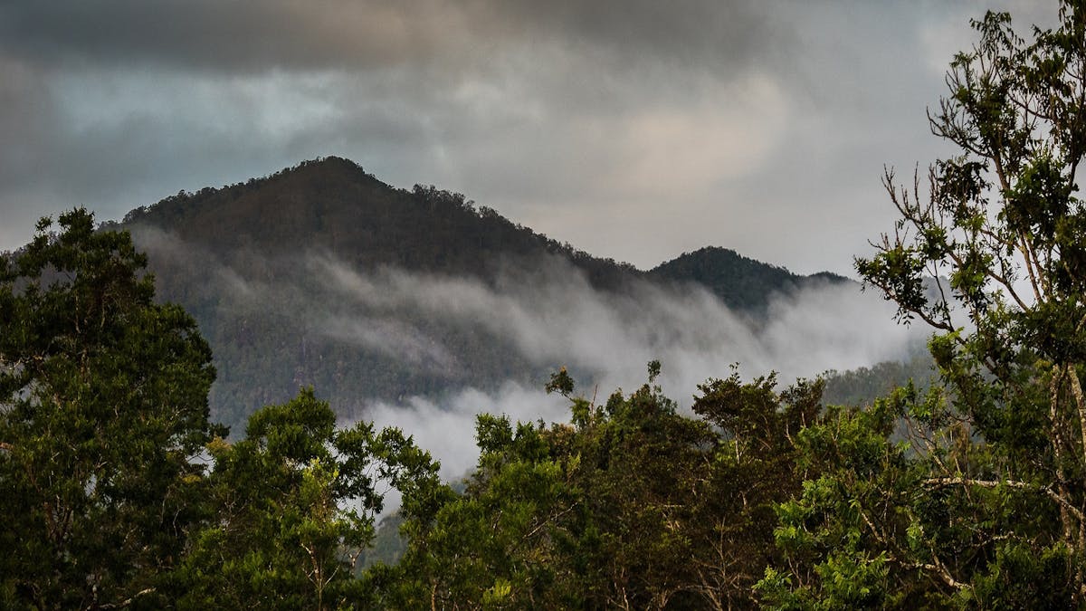 shambahla hills