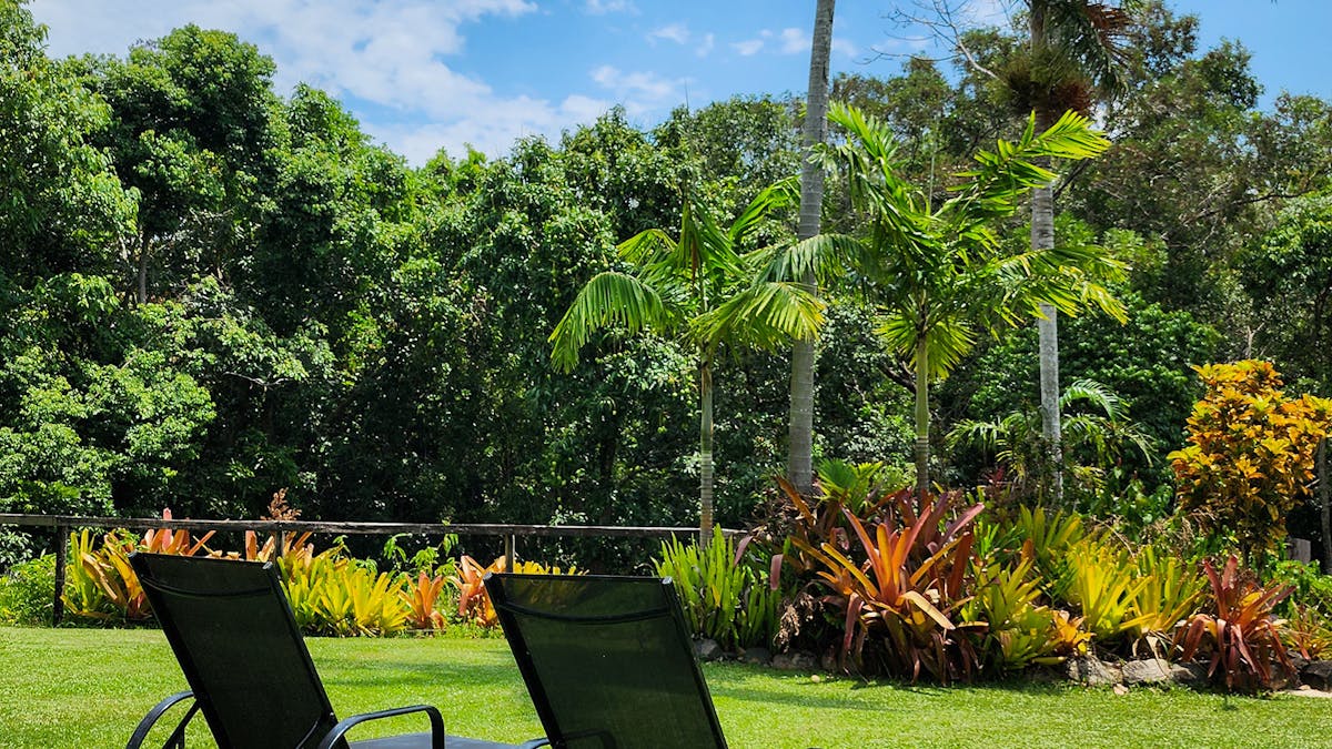 Sunlounges on Mungumby Lodge lawn