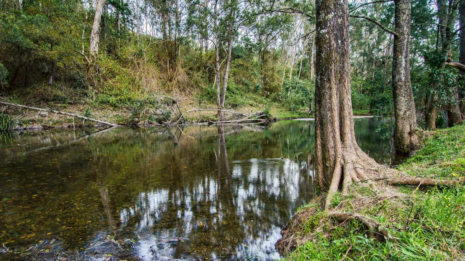 Woko National Park
