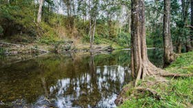 Woko National Park