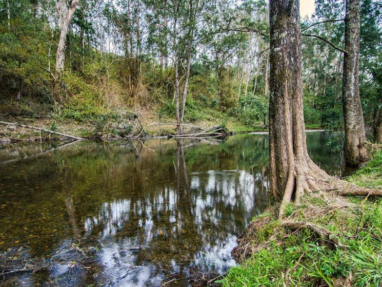 Woko National Park