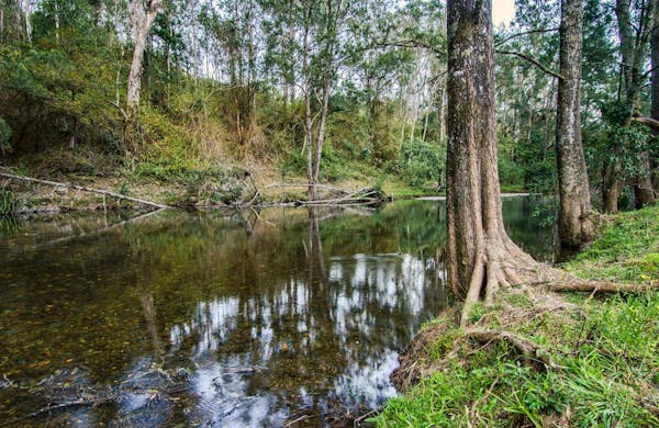 Woko National Park