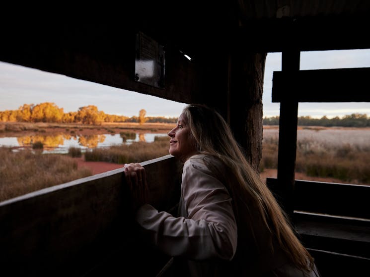 Reed Beds Bird Hide