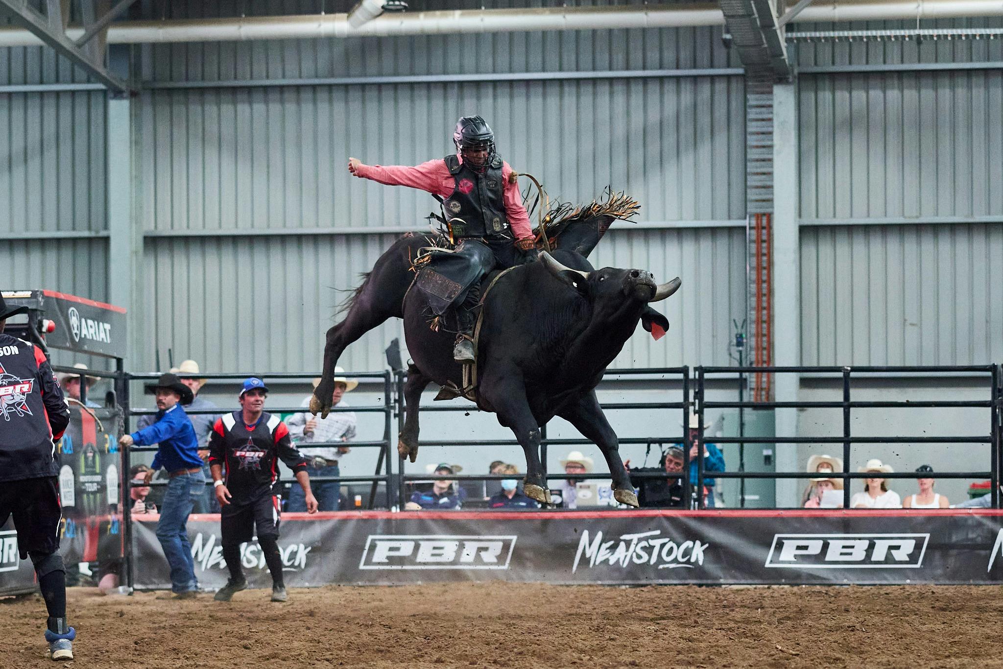 Mid air bull