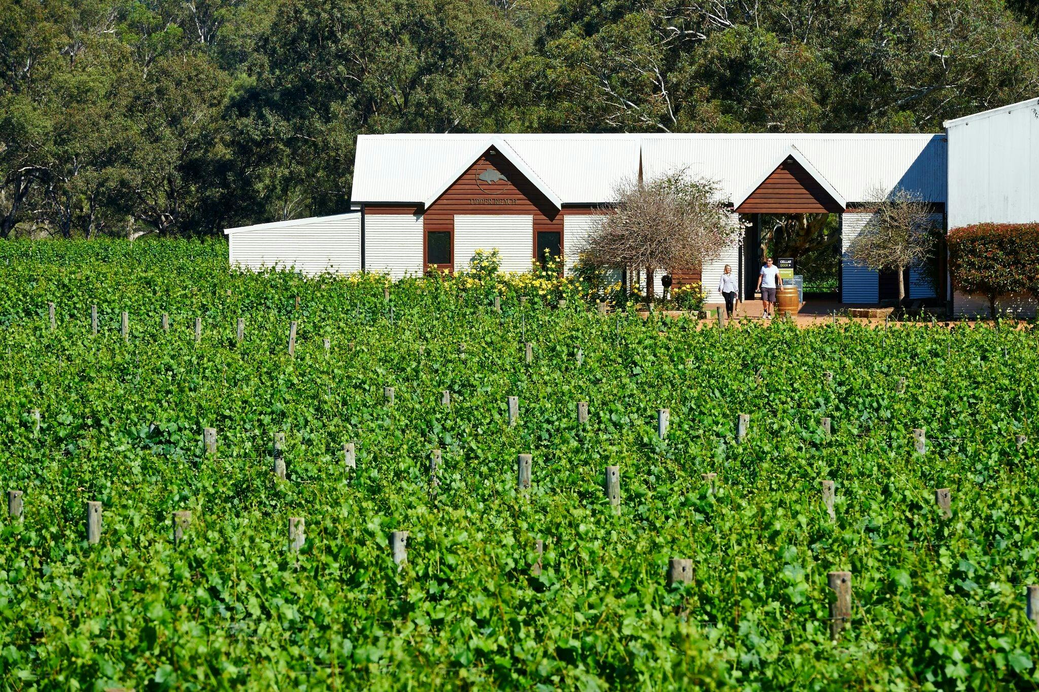 View to Cellar Door