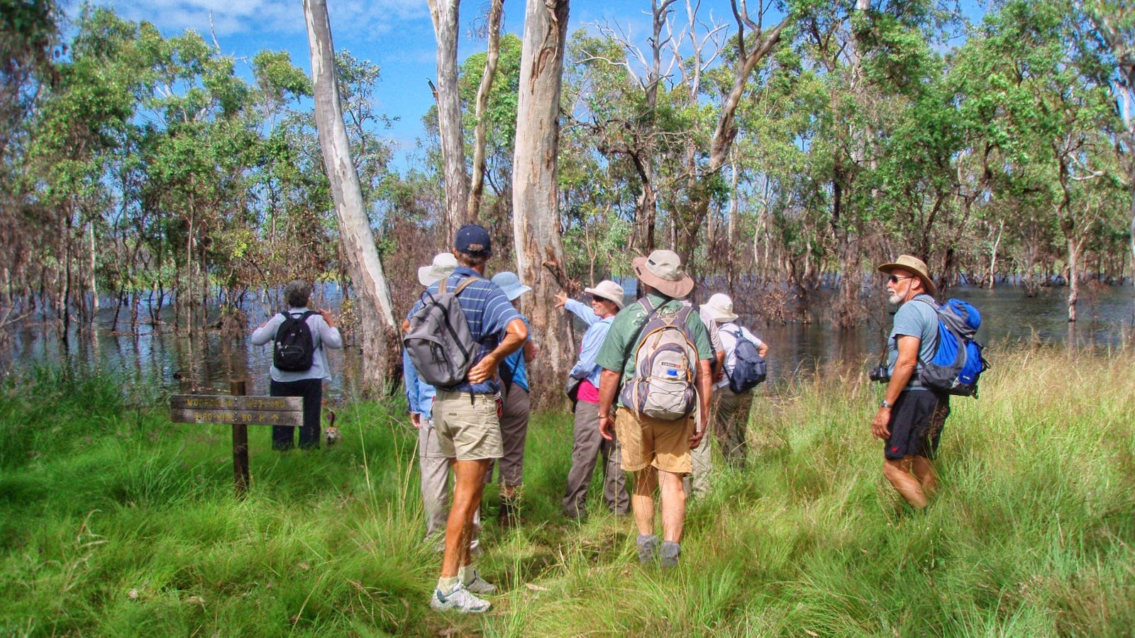 Wooroolin Wetland