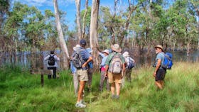 Wooroolin Wetland