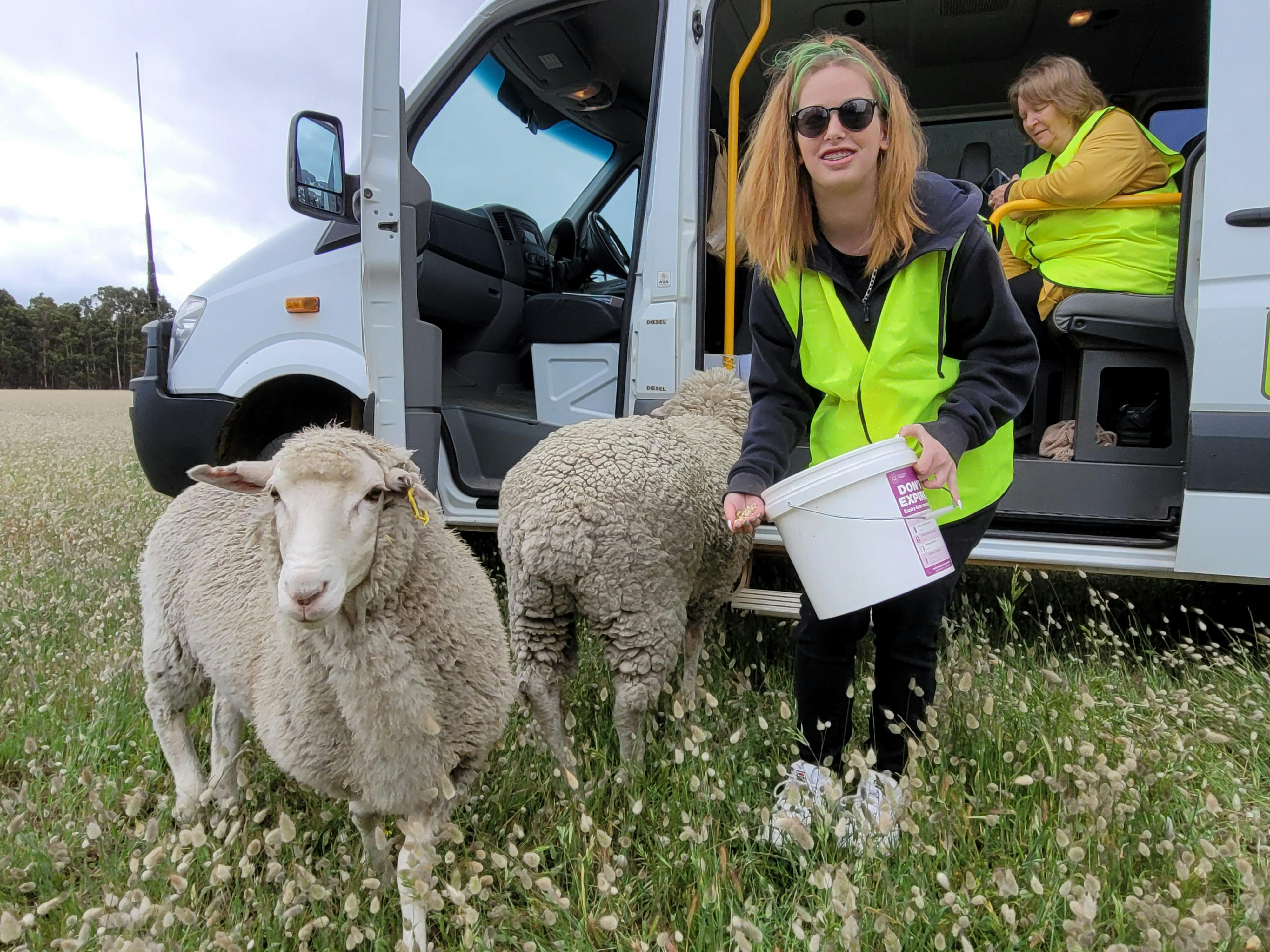 Full Day Tour - feeding lambs at Oake Marsh Farm