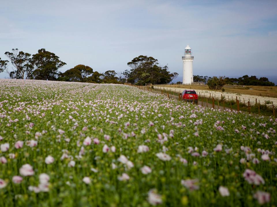 Table Cape Lighthouse photo