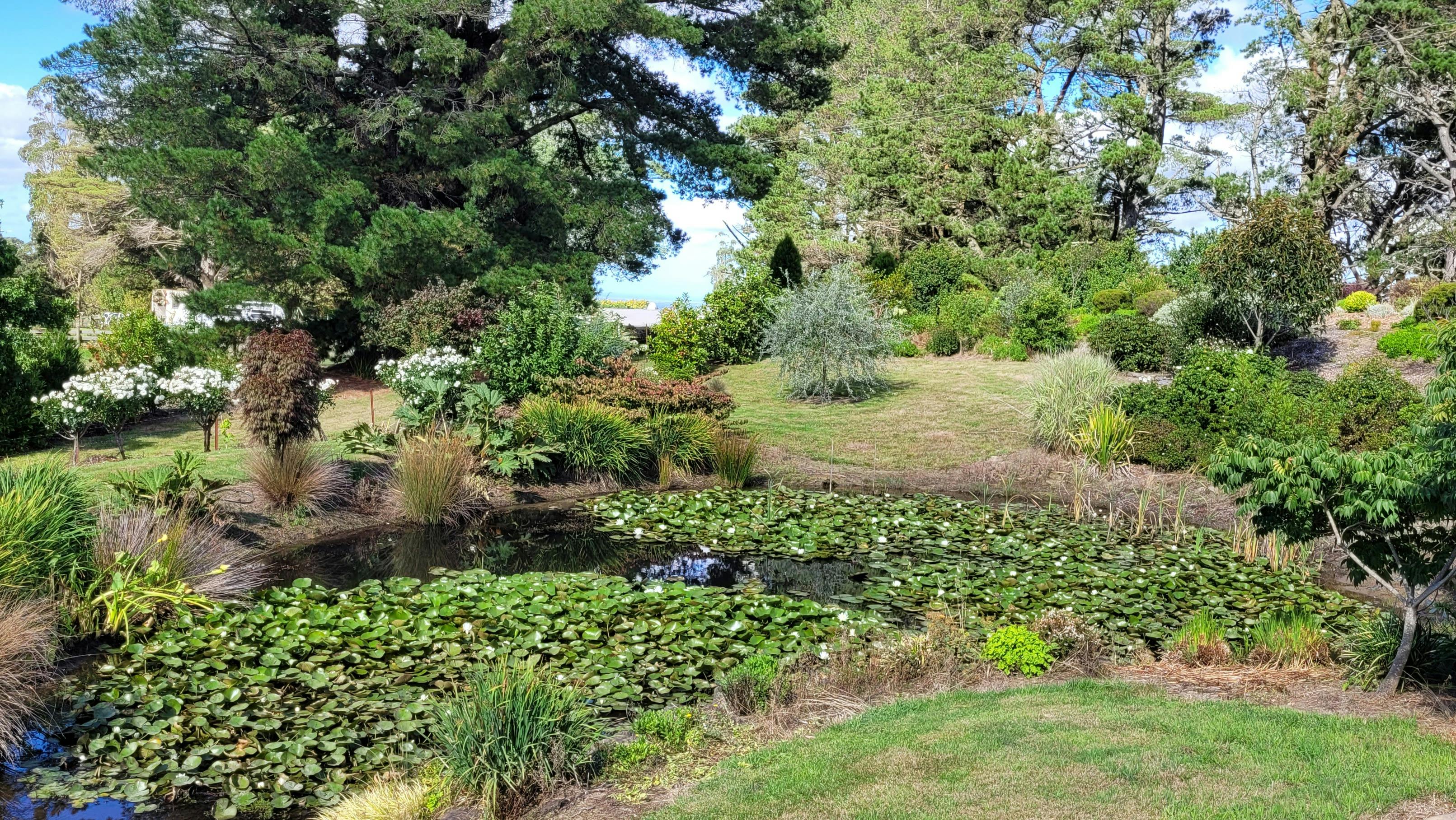 Open Gardens Victoria - Saint Cloud, ponds with lily pads