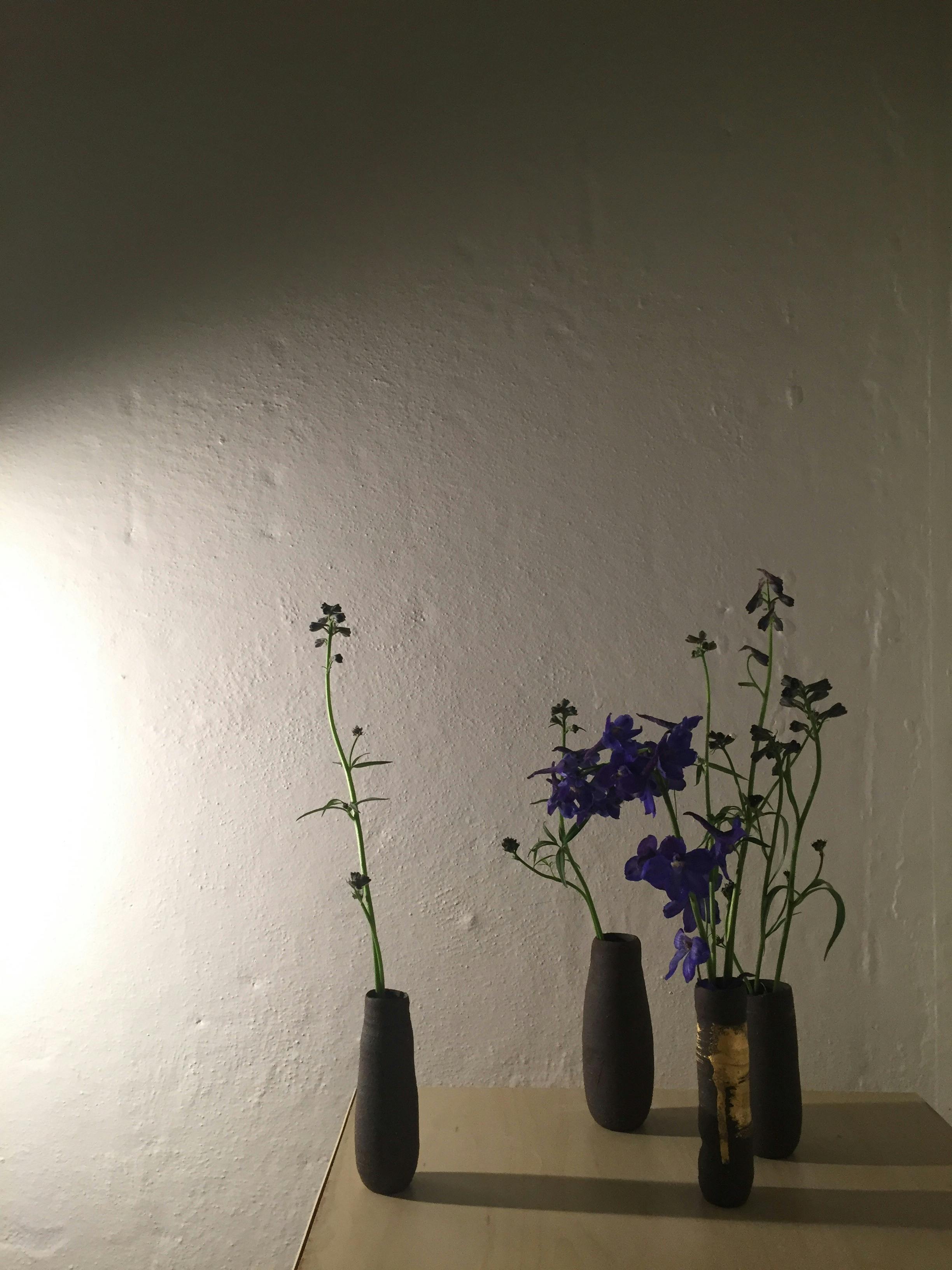 4 black vases, on wood bench, white wall behind, sun streaming in from left, gold surface decoration