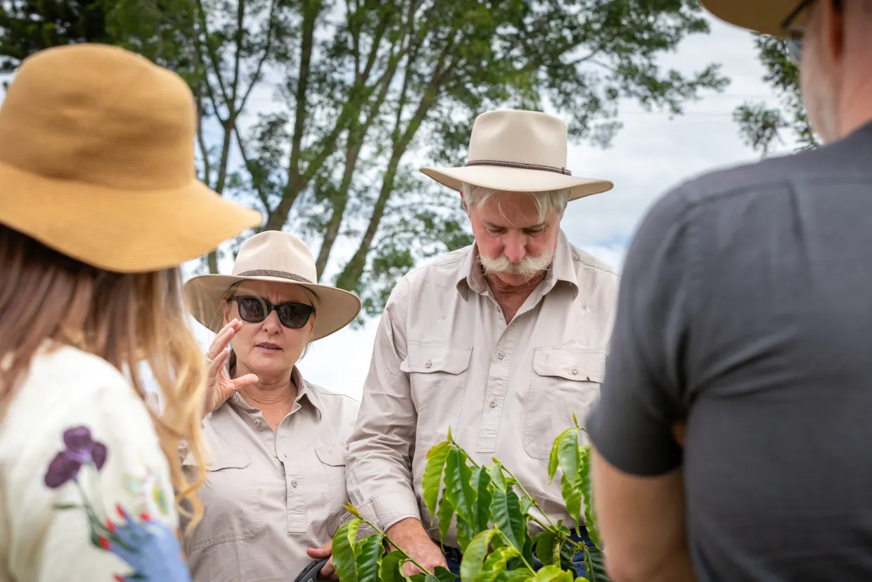 Coffee Plantation Tour at Glasshouse Plantation