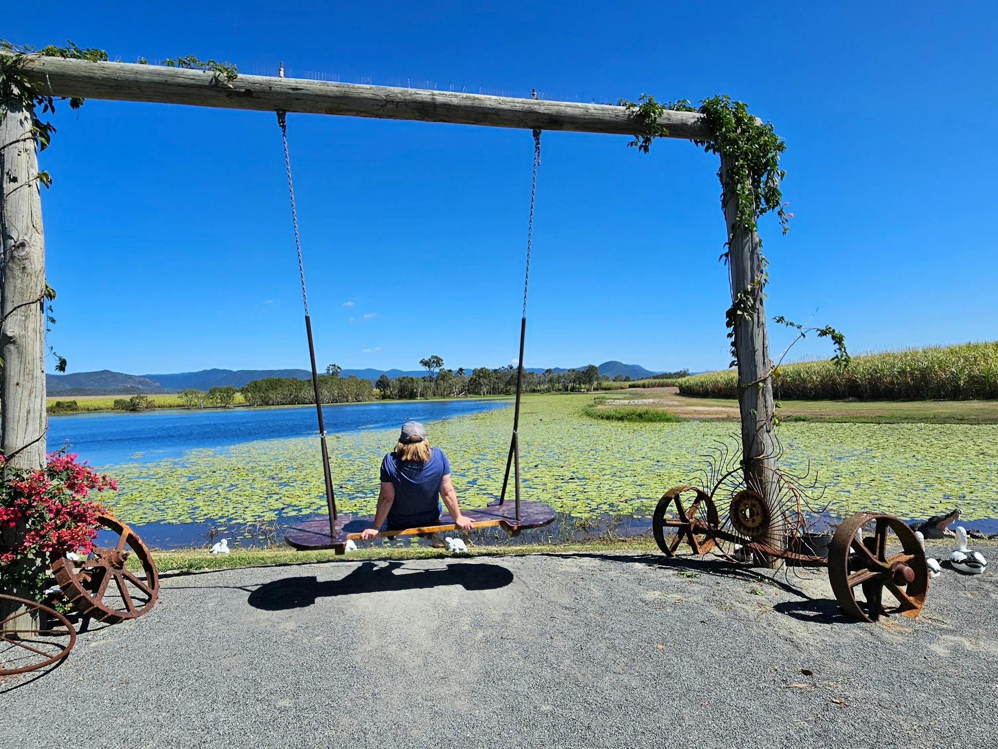 The Love Swing at Oh Deer Farmstay The Love Swing at Oh Deer Farmstay