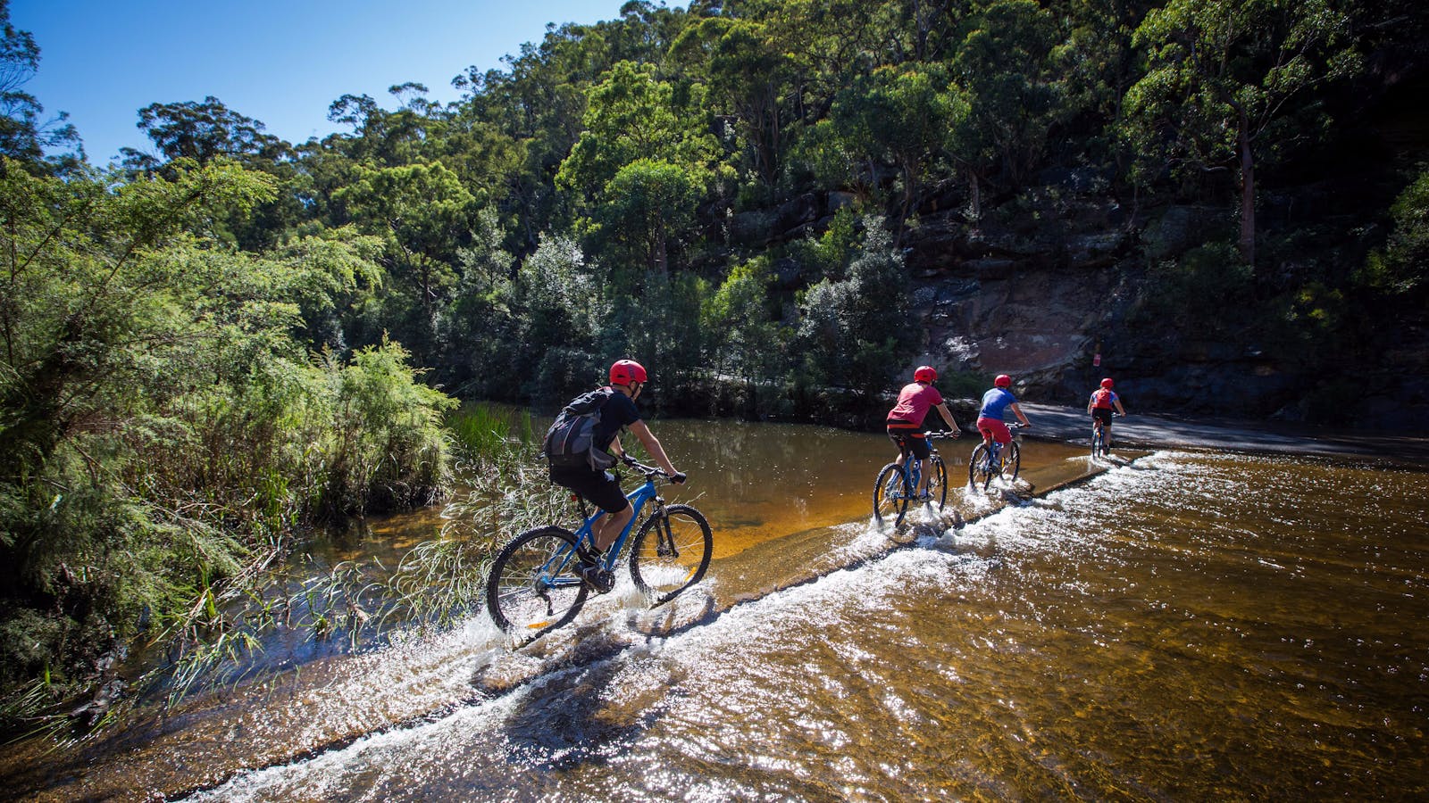 Blue Mountains Biking Adventures - Hire and Tours