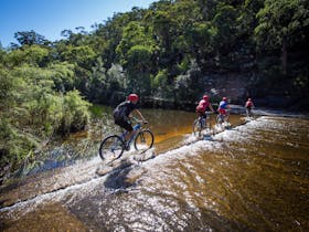 Blue Mountains Biking Adventures - Hire and Tours