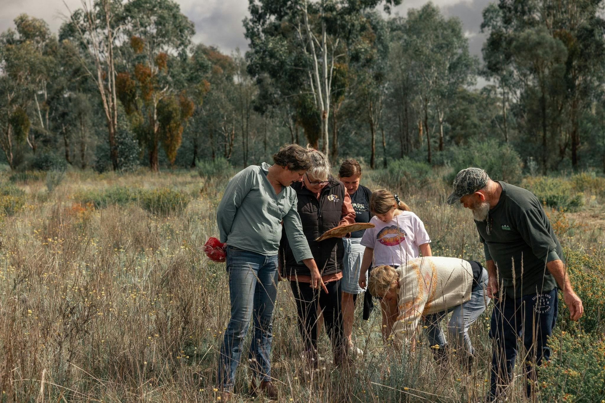 in the field looking for plants