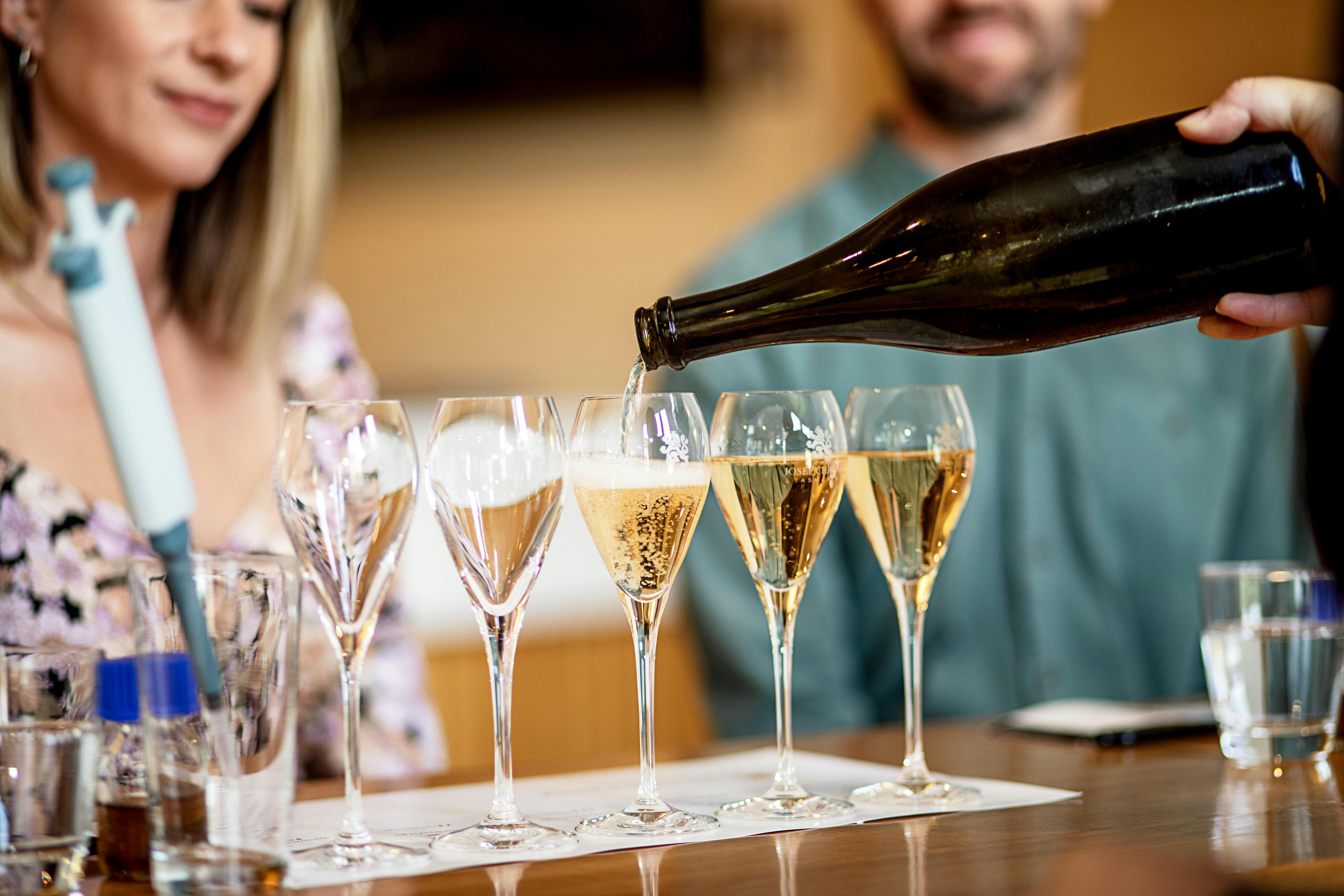 Josef Chromy Tasting