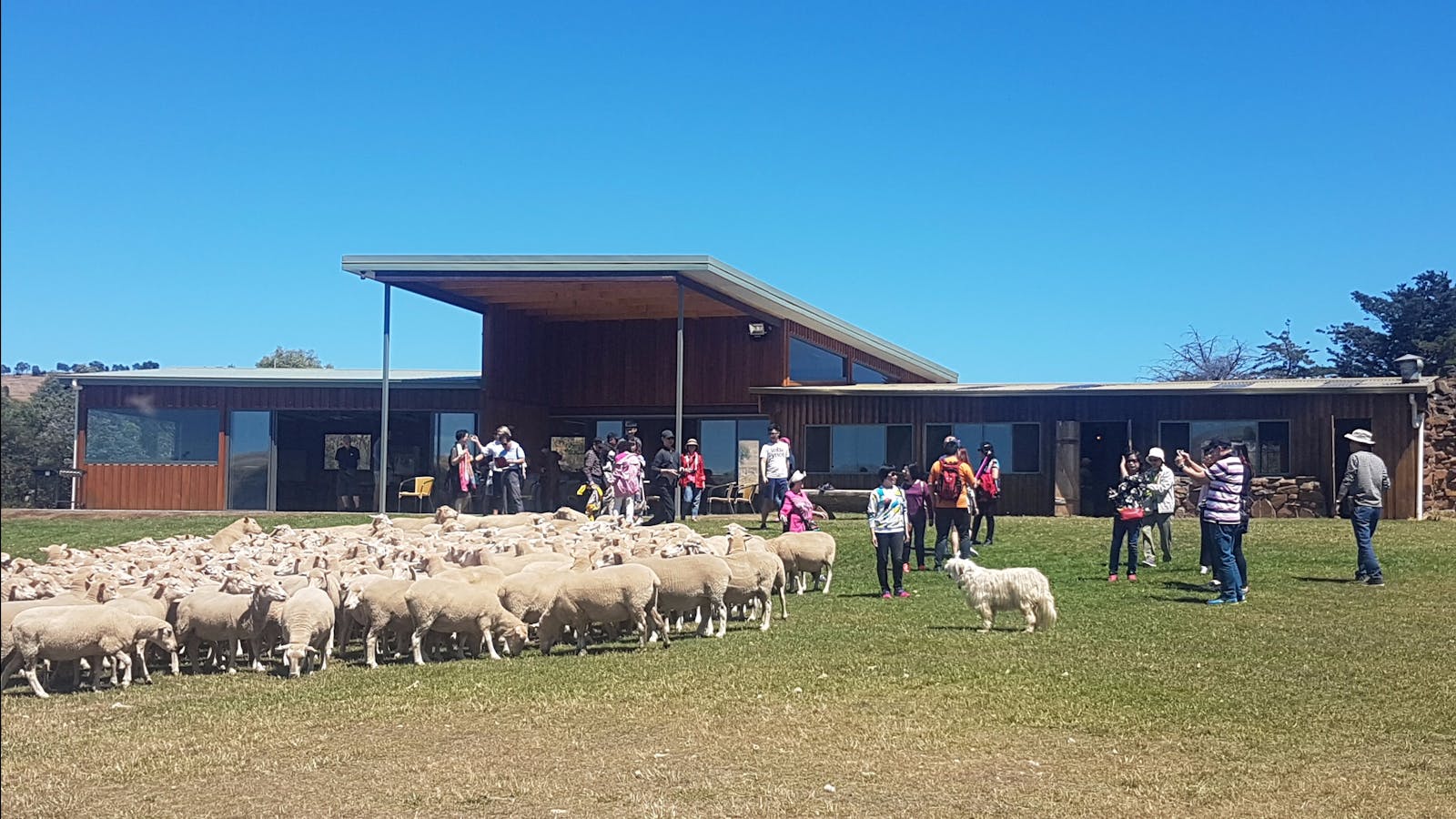 Curringa Farm - Accommodation and Farm Tours