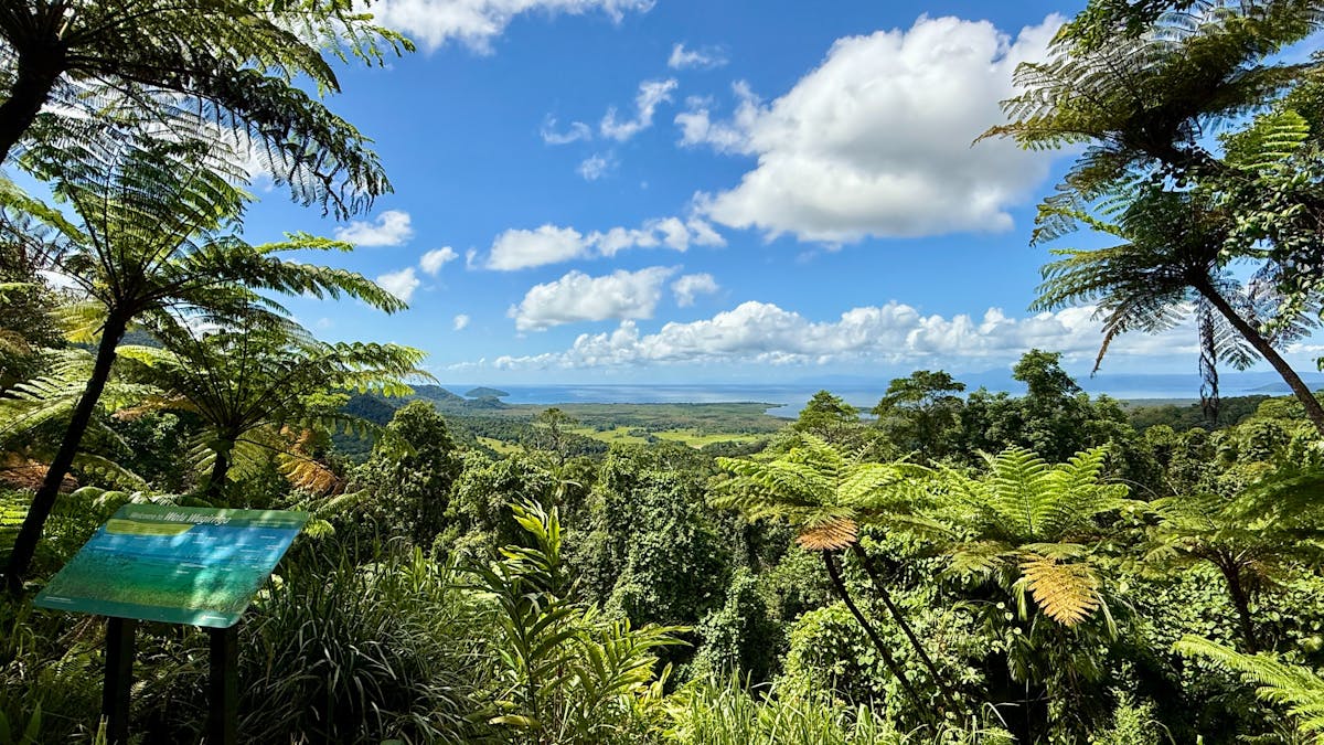 Alexandra Lookout