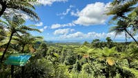 Alexandra Lookout