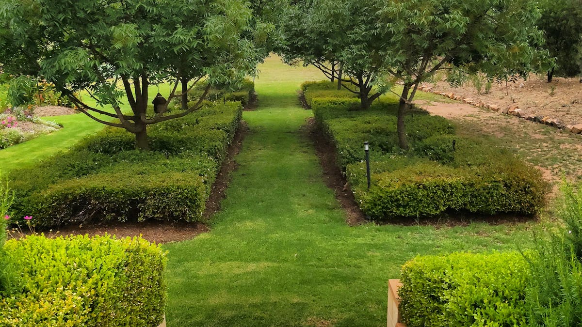 Captivating Gardens