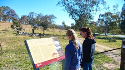 Two girls with dog at a sign board in open woodland