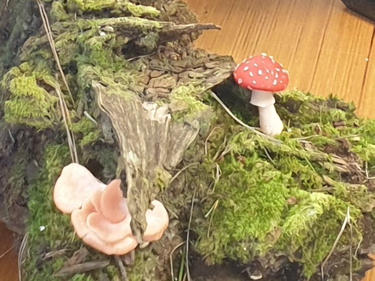 Pottery & real fungi on a mossy log