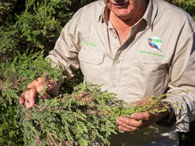 Uncle Ken holding native vegetation