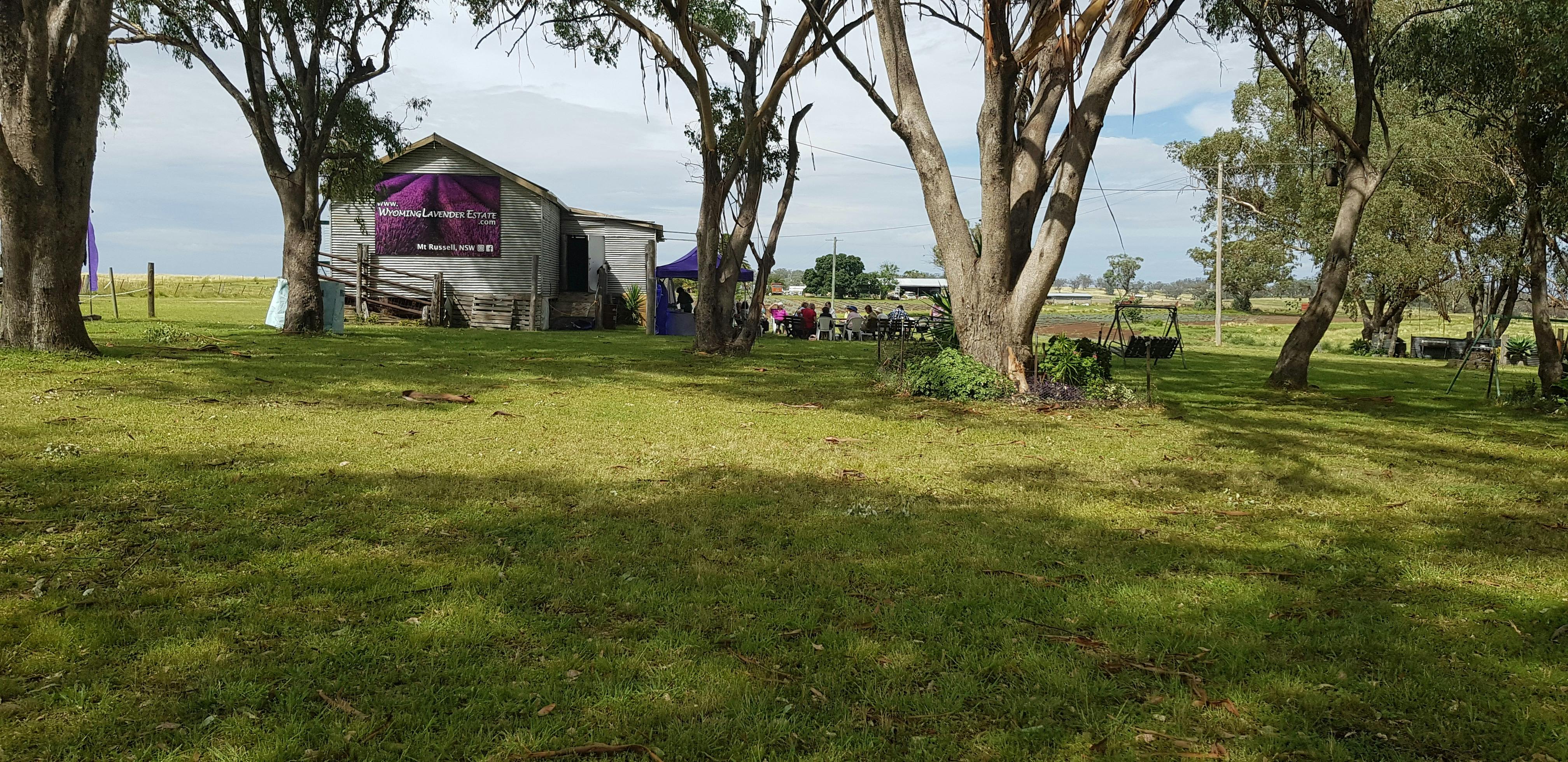 View of Woolshed at Morning Tea
