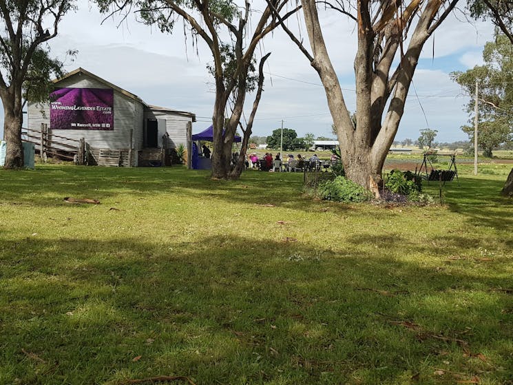 View of Woolshed at Morning Tea