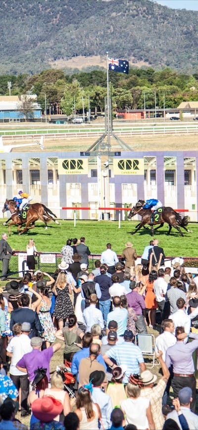 View of horses crossing the finishing post in front of a crowded stand