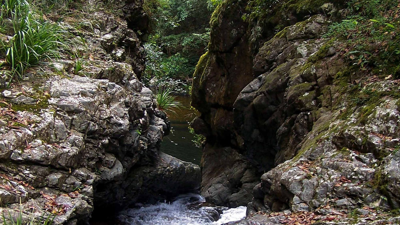 Potoroo Falls walk