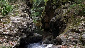 Potoroo Falls walk
