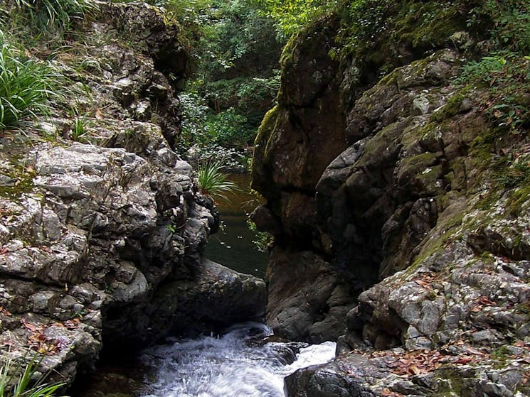 Potaroo Falls walk