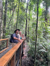 Private Cape tribulation adventure private guide
