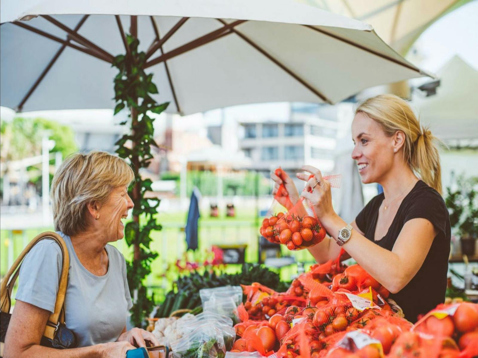 Image for Cambridge Markets EQ