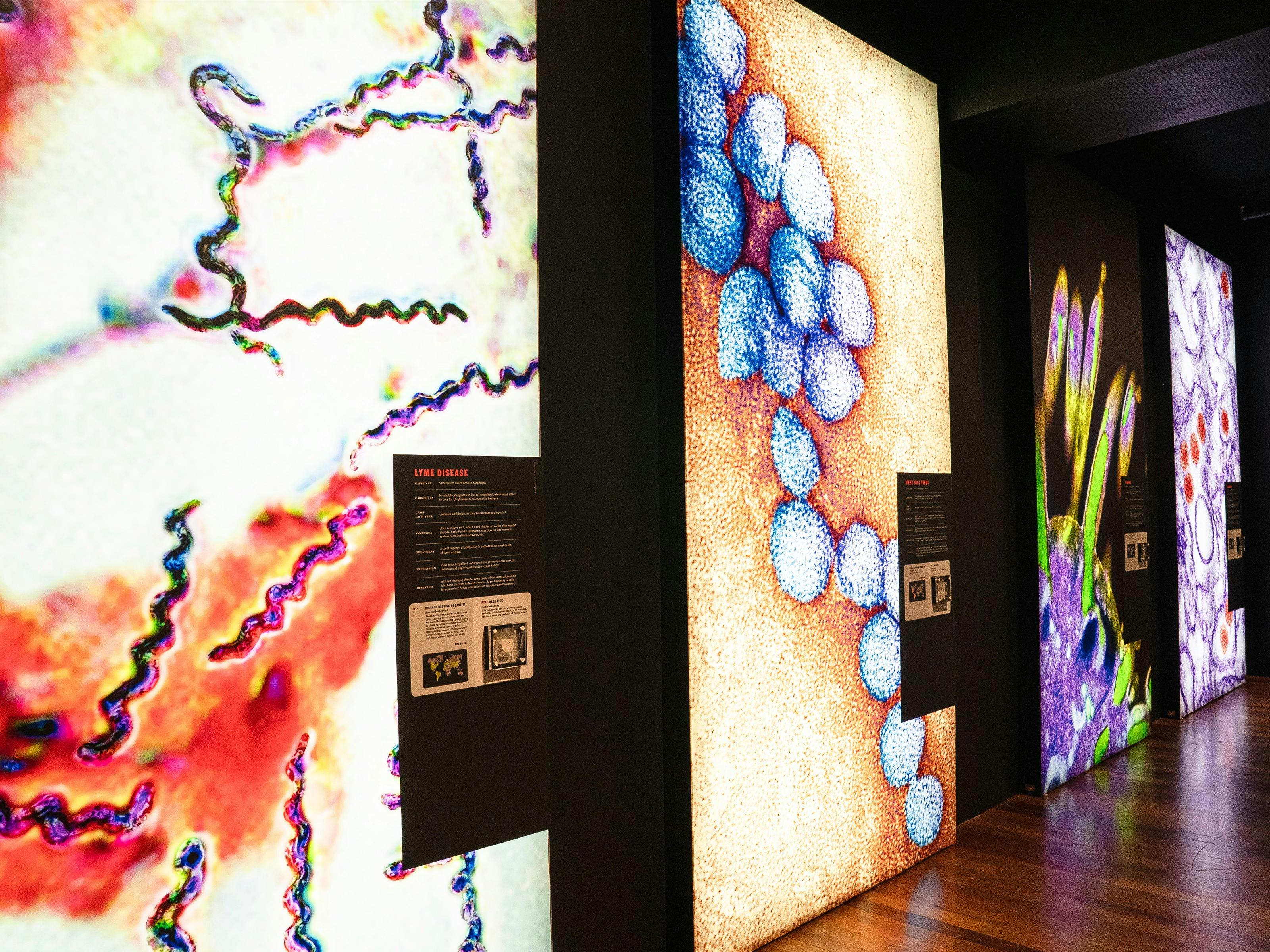 Discover the world's most notorious feeders in Bloodsuckers: Nature's Vampires