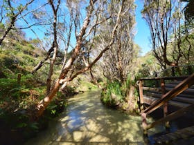 Eli Creek, Fraser Island, Great Beach Drive.