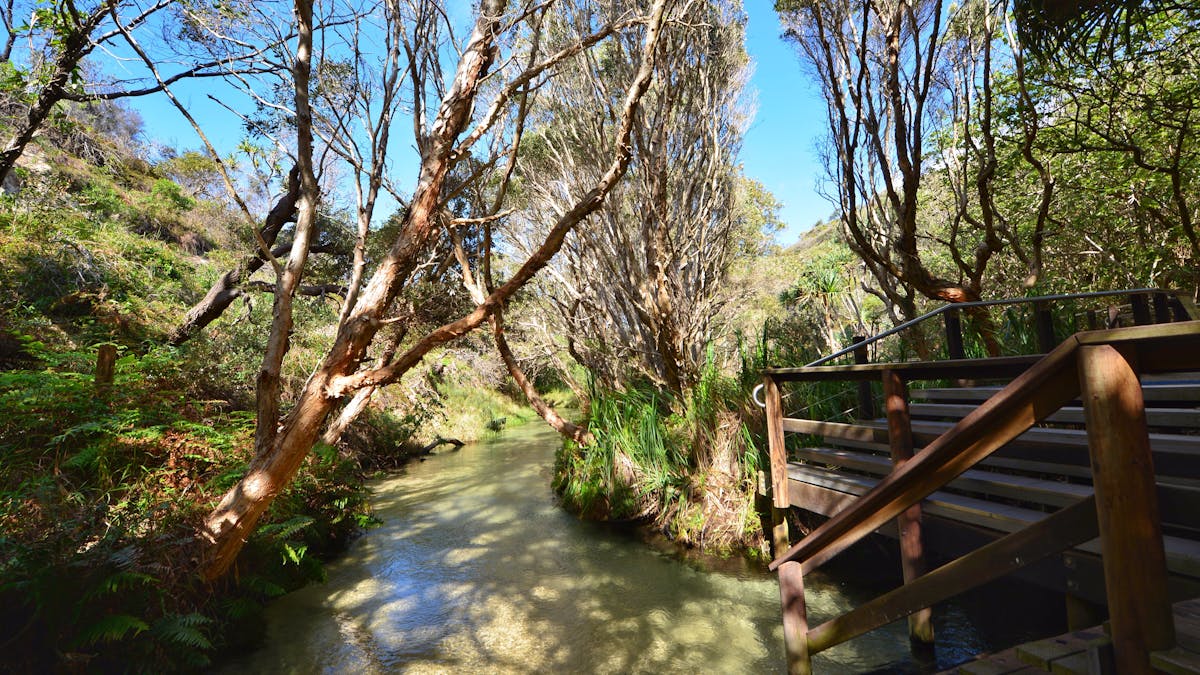 Eli Creek, Fraser Island, Great Beach Drive.