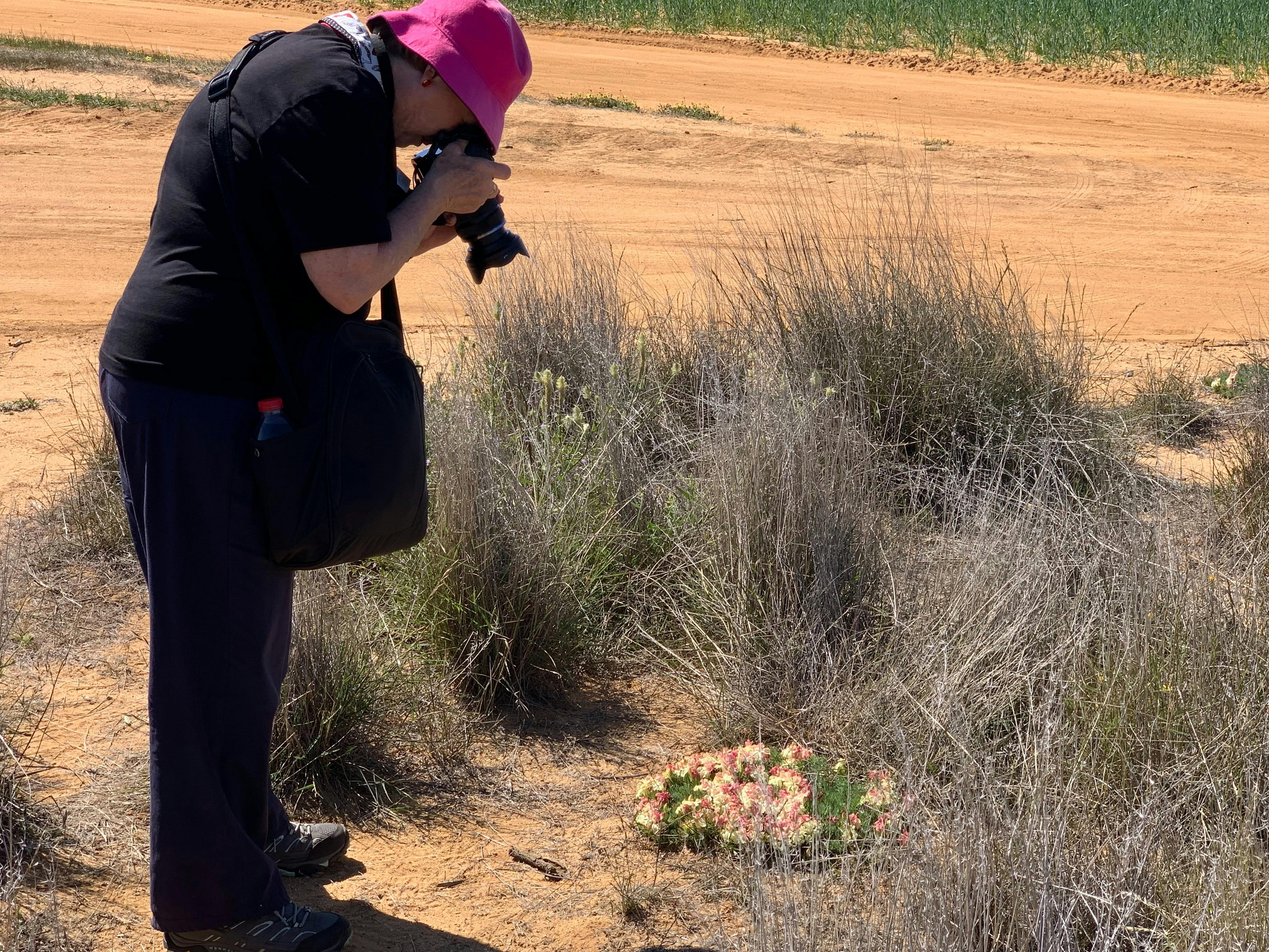 Photographer taking a photo of the wreath flower