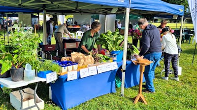 Local vegetables and plants